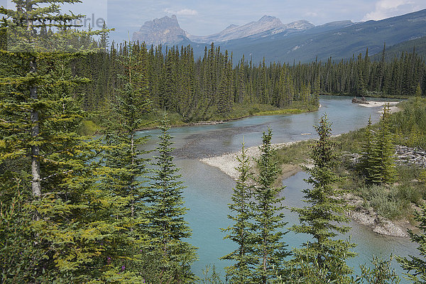 Bow River Tal