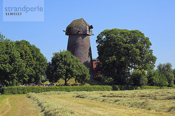 Turmwindmühle in Rhede-Krommert  Münsterland  Nordrhein-Westfalen