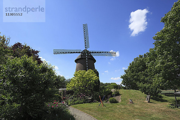 Windmühle in Geldern-Vernum  Niederrhein  Nordrhein-Westfalen