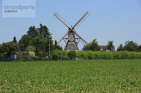 Koker-Mühle in Geldern-Walbeck  Niederrhein  Nordrhein-Westfalen