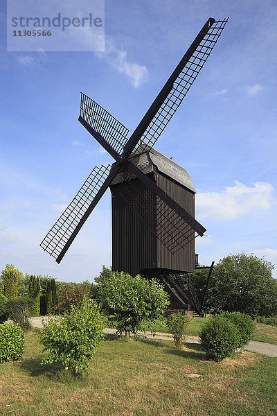 Ziegenwindmühle in Kempen-Tönisberg  Niederrhein  Nordrhein-Westfalen