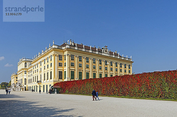 Schloss  Schönbrunn  Kronprinzengarten  Herbst  Farbe  Blätter