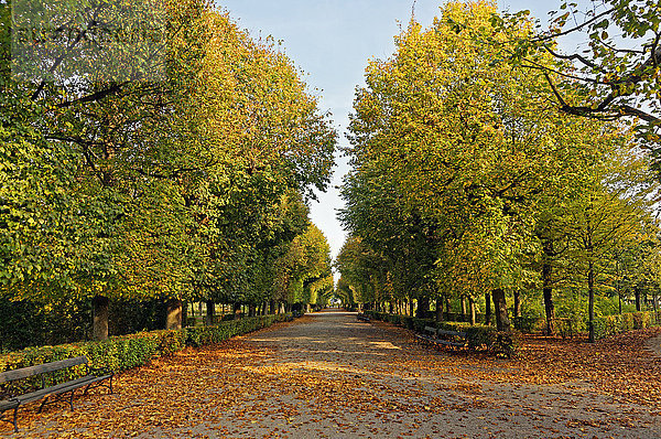 Schloss  Schönbrunn