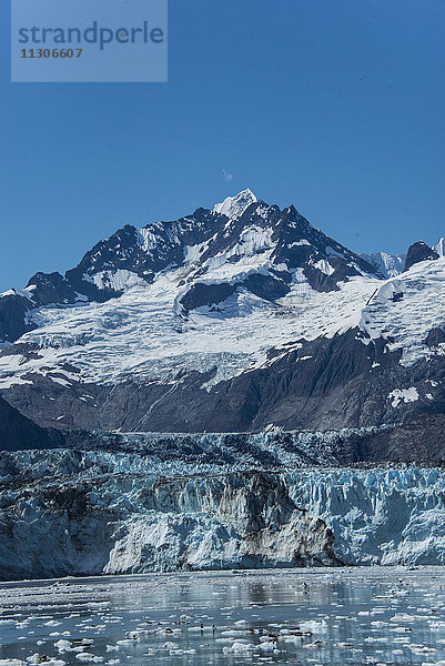 Johns Hopkins Gletscher  Glacier Bay National Park  Alaska