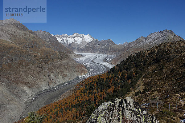 Schweiz  Europa  Wallis  Bettmeralp  Berge  Herbst  Gletscher  Aletschgletscher
