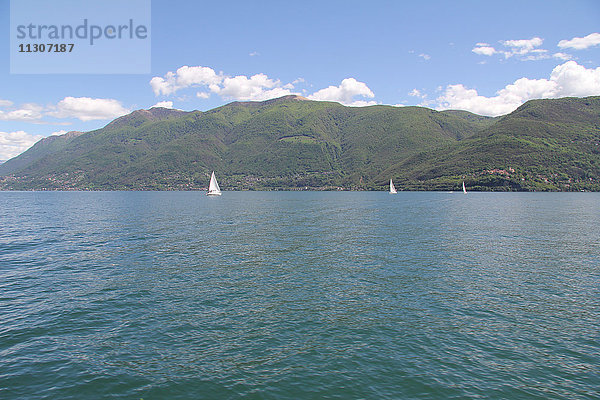 Schweiz  Europa  Tessin  Lago Maggiore  See  Berge  Segelschiffe