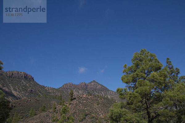 Gran Canaria  Kanarische Inseln  Spanien  Europa  Fataga  Barranco  Schlucht  Canyon