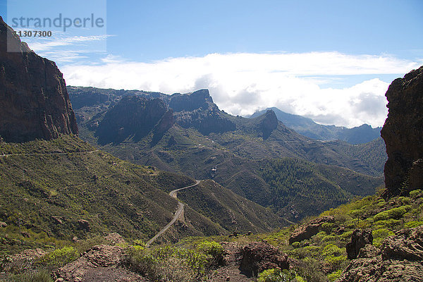 Gran Canaria  Kanarische Inseln  Spanien  Europa  Klippe  Felsen  Berge  Vegetation  vulkanisch
