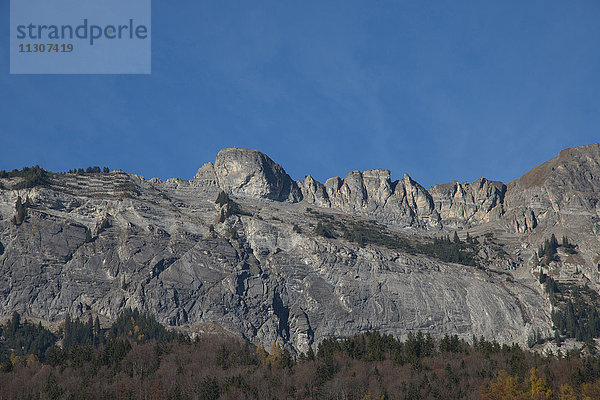 Brienz  Herbst  Berner Oberland  Kanton Bern  Schweiz  Europa  Schweiz  Berg  Klippe  Felsen  Formation