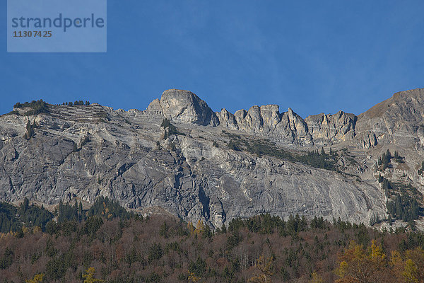 Brienz  Herbst  Berner Oberland  Kanton Bern  Schweiz  Europa  Schweiz  Berg  Klippe  Felsen  Formation