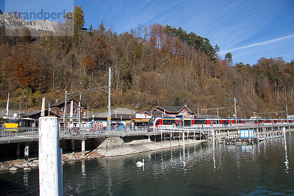 Brienz  Herbst  Berner Oberland  Kanton Bern  Schweiz  Europa  Bahnhof  Eisenbahn  Zug  Zentralbahn  ZB  Quai