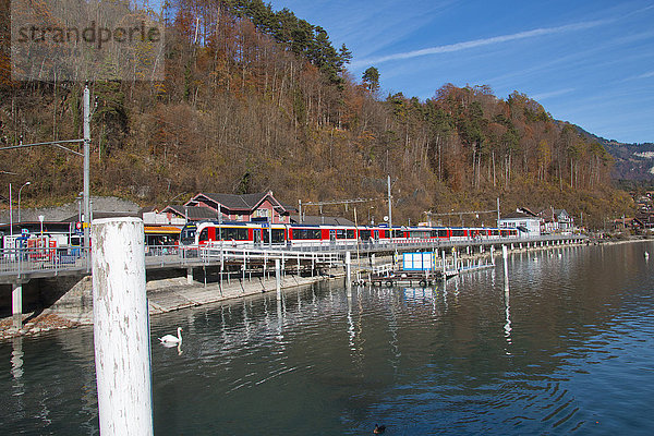 Brienz  Herbst  Berner Oberland  Kanton Bern  Schweiz  Europa  Bahnhof  Eisenbahn  Zug  Zentralbahn  ZB  Quai