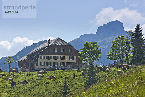 Bauernhof bei Sörenberg LU im Entlebuch