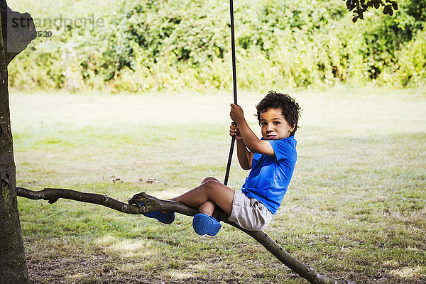 Porträt eines kleinen Jungen  der auf einer Baumschaukel sitzt.