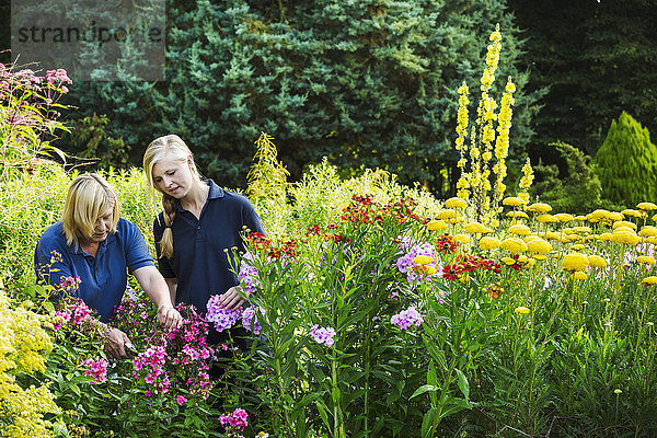 Zwei Gärtnerinnen schneiden Blumen in Waterperry Gardens in Oxfordshire.