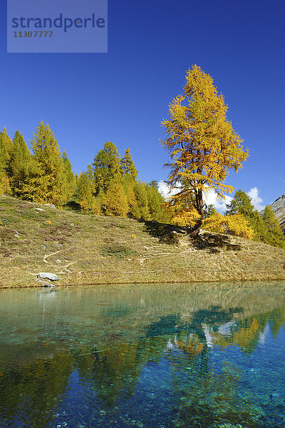 Lac Bleu  Dent de Perroc  Wallis  Schweiz