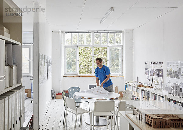 Ein modernes Büro. Ein Mann  der an einem Tisch Pläne und Architekturzeichnungen betrachtet. Baumodelle auf Regalen. Offene Fenster. Der Sommer.
