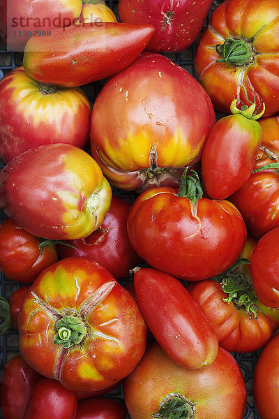 Tomaten in allen Formen und Größen