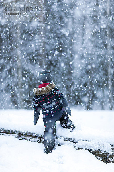 Junge geht im Winter spazieren