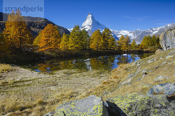 Matterhorn und Grindjisee  Wallis  Schweiz