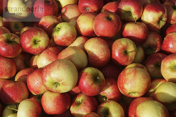 Äpfel  Schweiz