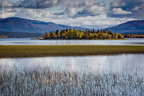 Herbstlandschaft mit Bäumen auf einer Insel