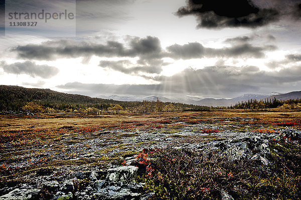 Herbstlandschaft