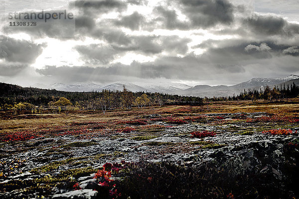 Herbstlandschaft