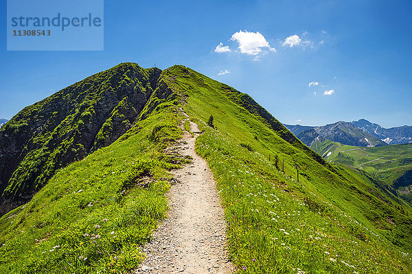 Wanderweg vom Söllereck zum Fellhorn  in 2038 m  Allgäuer Alpen  Bayern  Deutschland  Europa