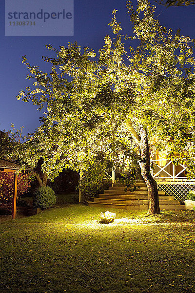 Beleuchteter Baum im Garten