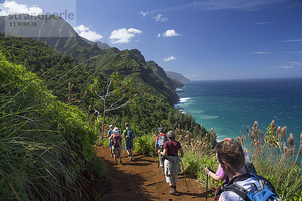 Kauai  Well Pali  Trail  Küste  Kauai  USA  Hawaii  Amerika  Fußweg  Wandern  Trekking