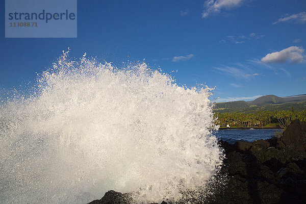 Big Island  Palmen  Punaluu  Schwarzer Sandstrand  Big Island  USA  Hawaii  Amerika  Schaum  Brandung