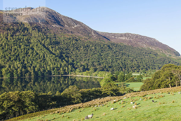 England  Cumbria  Lake District  Crummockwater