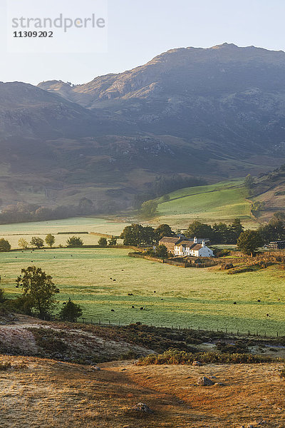 England  Cumbria  Lake District  Die Langdales