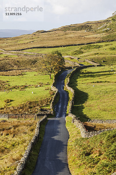 England  Cumbria  Lake District  Kirkstone Pass  Straße nach Ambleside  Der Kampf