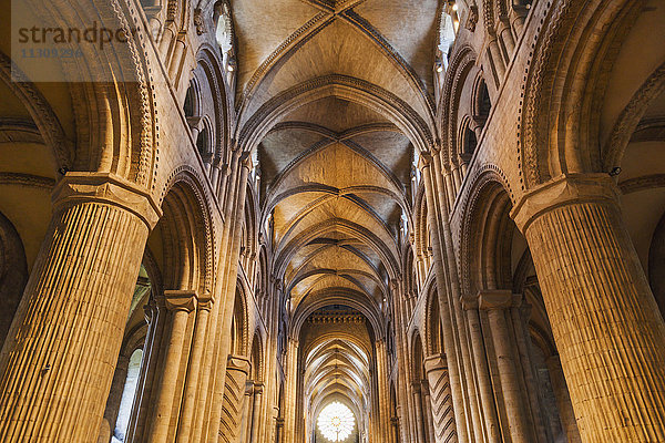 England  Grafschaft Durham  Durham  Durham Kathedrale