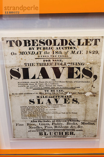 England  East Yorkshire  Kingston upon Hull  William Willberforce Museum  Original Werbeplakat für den Verkauf von Sklaven von 1829