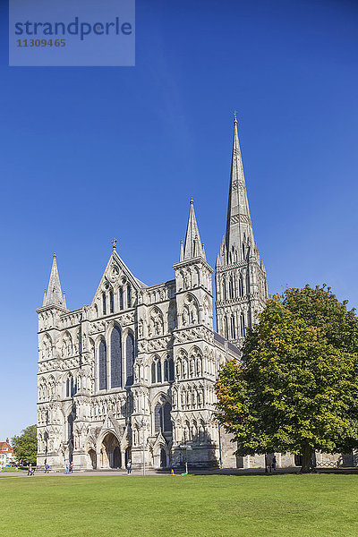 England  Wiltshire  Salisbury  Salisbury Kathedrale