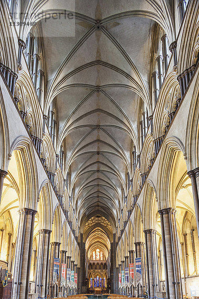 England  Wiltshire  Salisbury  Salisbury Kathedrale