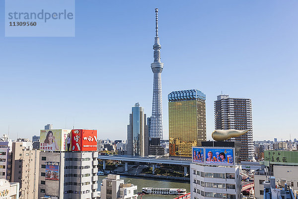 Japan  Honshu  Tokio  Asakusa  Himmelsbaum