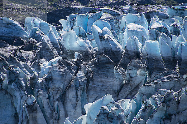Johns Hopkins Gletscher  Glacier Bay  Nationalpark  Alaska  USA  Gletscher  Eis