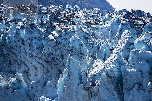 Johns Hopkins Gletscher  Glacier Bay  Nationalpark  Alaska  USA  Gletscher  Eis