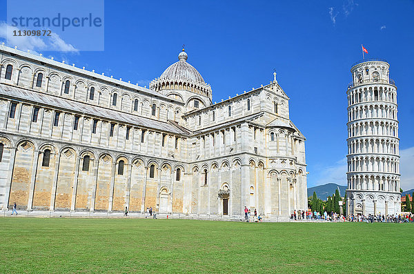 Der Dom und der schiefe Turm von Pisa auf der Piazza dei Miracoli  Pisa  Italien