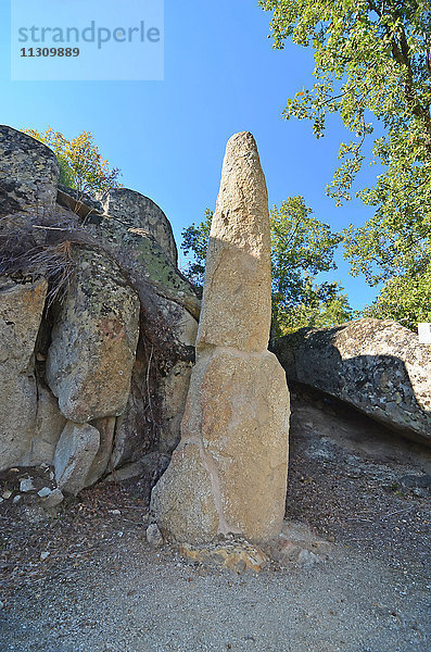 Prähistorischer  mehrere tausend Jahre alter Menhir  der für religiöse Rituale genutzt wurde  umgeben von einem heiligen Hain aus Eichen und Granitblöcken. Aufgenommen im Norden Portugals in der Nähe des Flusses Duro.