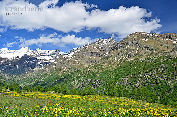 Hohe Berge am Ende des Valpelline-Tals in der Nähe der Schweiz mit blühenden Alpweiden  oberhalb von Aoste  Italien