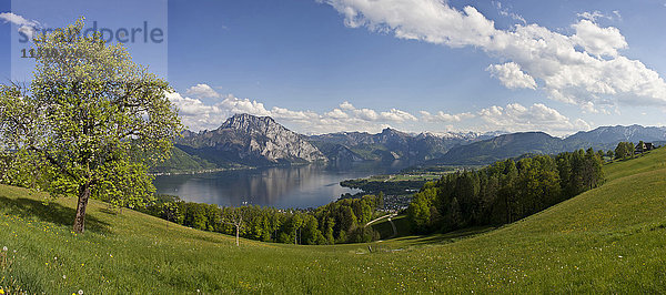 Österreich  Oberösterreich  Gmunden  Traunstein  Traunsee  See  Wiese