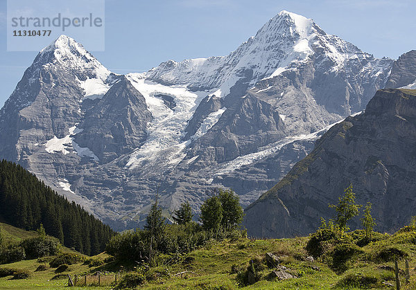 Schweiz  Europa  Berner Oberland  Mürren  Berge  Eiger  Mönch  Alpen
