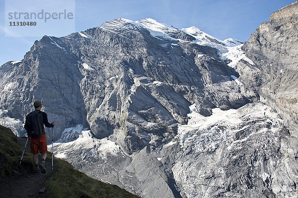 Schweiz  Europa  Berner Oberland  Kiental  Alpen  Berg  Wildi Frau  Wanderer  Sommer  Stöcke