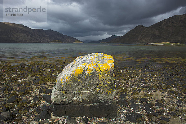 Schottland  Großbritannien  Westküste  Barrisdale  Loch Hourn  Bucht  Strand  Meeresküste  Stein  Flechten  Cape Wrath Trail  Frühling