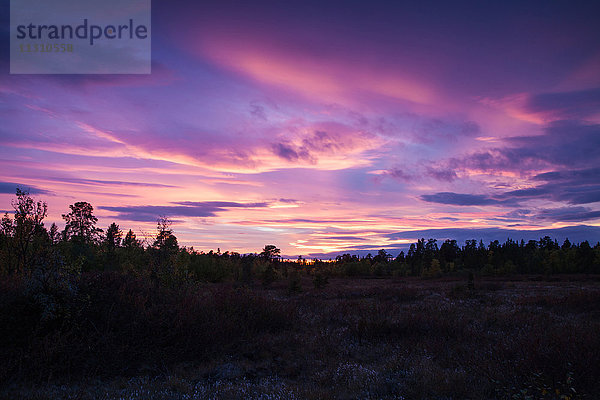 Europa  Finnland  Herbst  Herbstfarben  Inari-See  Landschaft  Landschaft  Lappland  Licht  Stimmung  Moor  Skandinavien  Sonnenuntergang  Sonnenuntergang  Moor